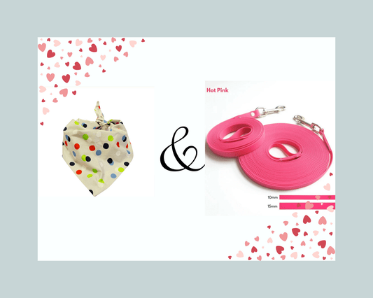 Polka Dot Reversible Bandana with Dog's Name Embroidered (L) & For the Love of Dog Hot Pink Leash Combo For Medium/Large Breed