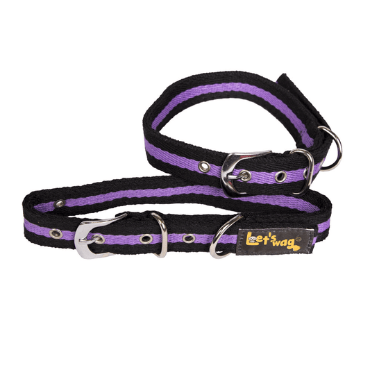 Let's Wag Buckle Fabric Collar – Black & Purple