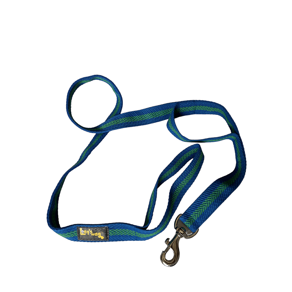 Let's Wag Double Handle Fabric Leash – Blue & Green
