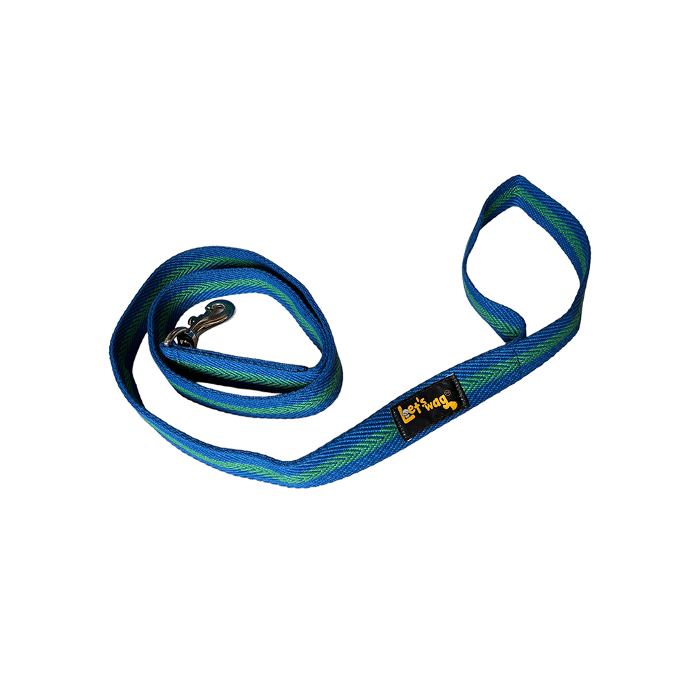 Let's Wag Single Handle Fabric Leash – Blue & Green