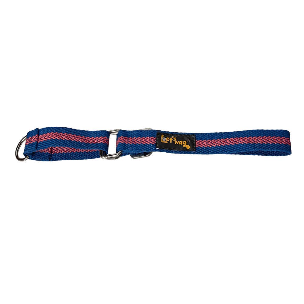 Let's Wag Martingale Fabric Collar – Blue & Pink