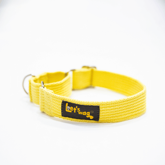 Let's Wag Martingale Fabric Collar – Yellow
