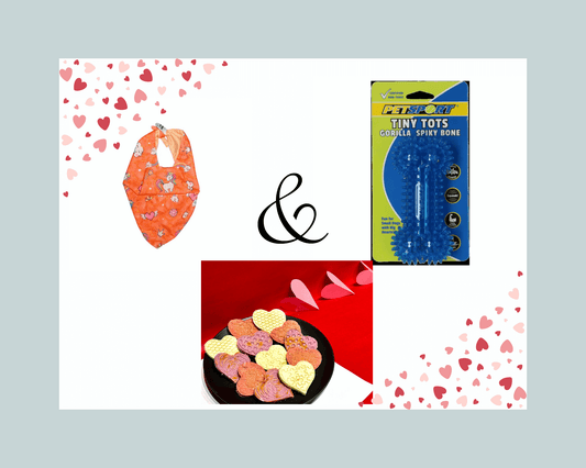 Believe in Magic Bandana (L),  Petsport Tiny Tots Gorilla Spiky Bone (Assorted Colours) & Valentine's Day Special Cookies Combo (Suitable for Medium to Large Breed Dogs)