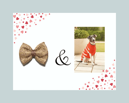 Subtle Poise Bow (M) & Mutt Of Course Orange Striped Knitted Turtle Neck (L) Combo (For Medium Breed Dogs)