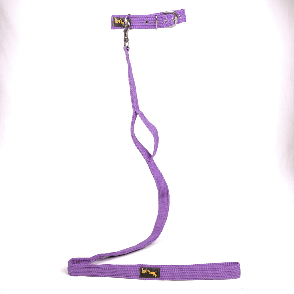 Let's Wag Double Handle Fabric Leash – Purple