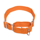 Let's Wag Martingale Fabric Collar – Orange