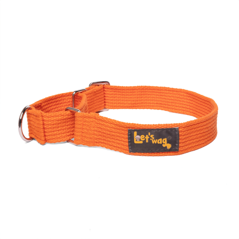 Let's Wag Martingale Fabric Collar – Orange