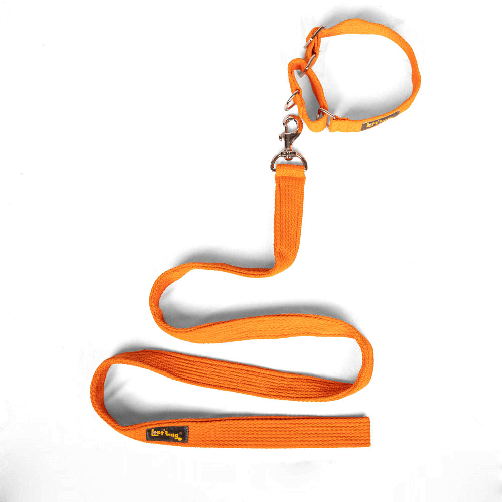 Let's Wag Single Handle Fabric Leash – Orange