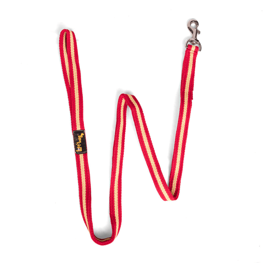 Let's Wag Single Handle Fabric Leash – Red & Yellow