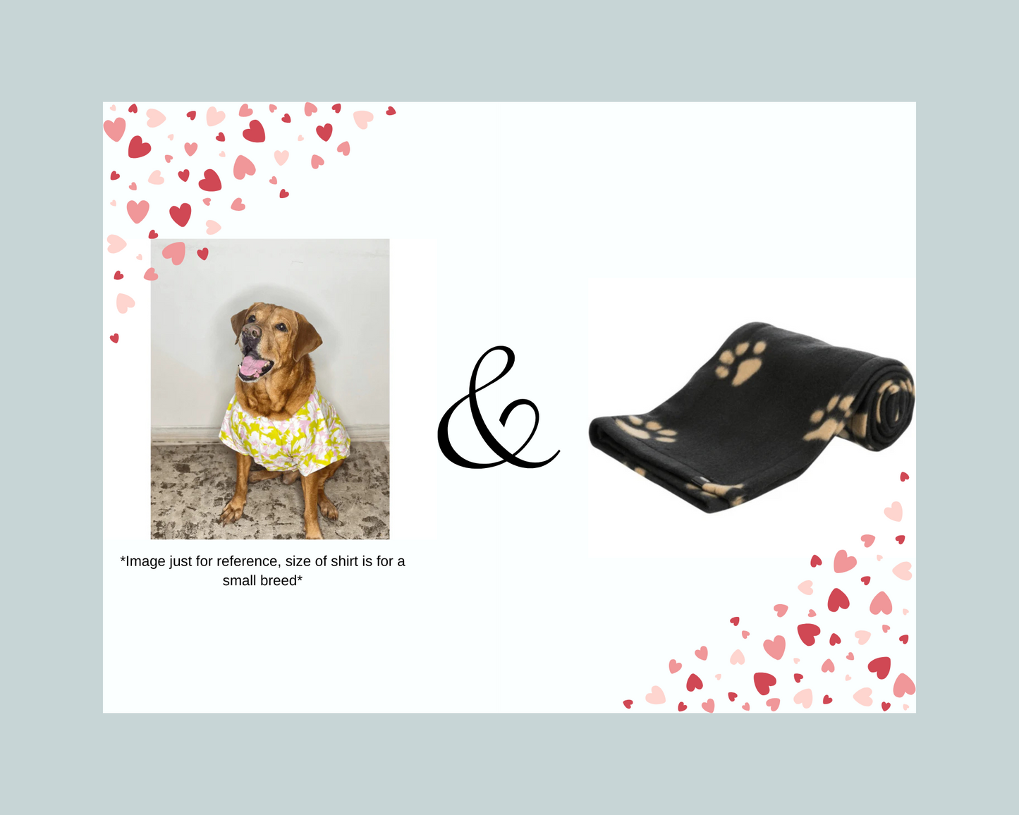 ADog Summer Shirt (S) & Trixie Beany Blanket Fleece (100x70cm) Black Combo (Suitable For Small Dogs)