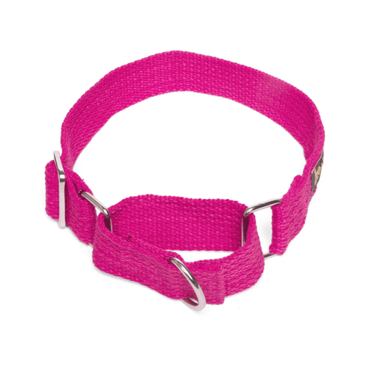 Let's Wag Martingale Fabric Collar – Pink