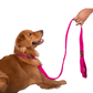 Let's Wag Single Handle Fabric Leash – Pink