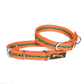 Let's Wag Buckle Fabric Collar – Orange & Green