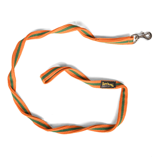 Let's Wag Single Handle Fabric Leash – Orange & Green