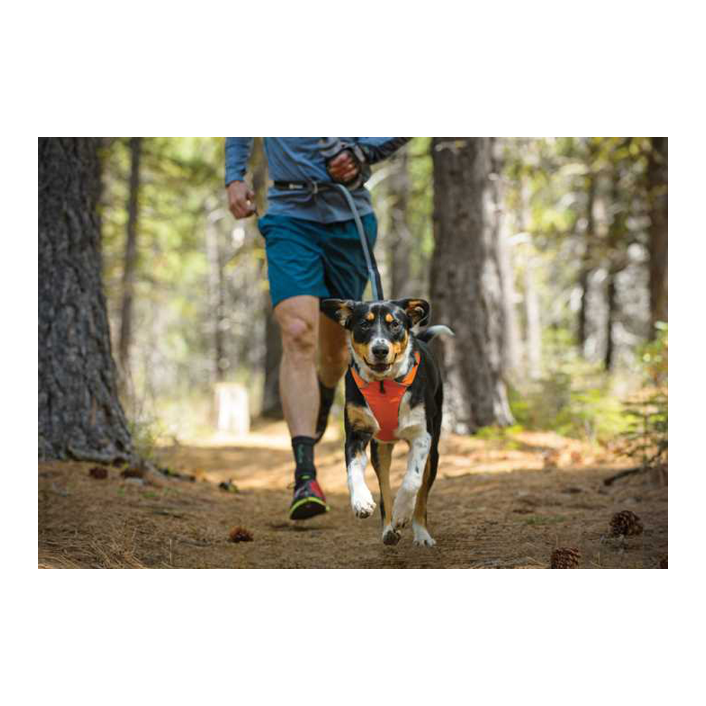 Ruffwear Front Range Harness - Tumalo Teal